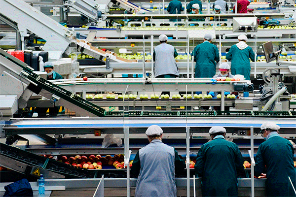 Безопасность труда на пищевом производстве