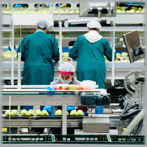 Автоматизация пищевого производства