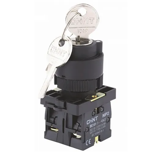 Переключатель NP2-EG31