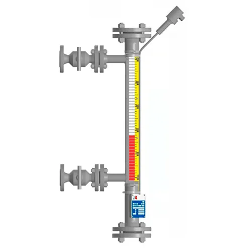 Байпасный уровнемер магнитный ILL-BM-B16-0600-N1-001-50/20-FB-T2-BC-SG/PH0W