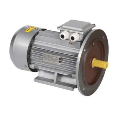 Электродвигатель трёхфазный DRV090-L2-003-0-3020 фото