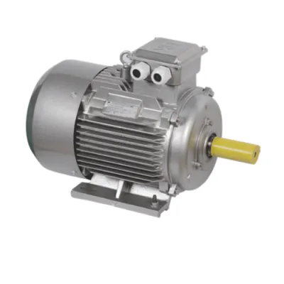 Электродвигатель трёхфазный DRV160-S6-011-0-1010 фото