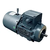2EL090S4B-FC-A0-930 Электродвигатель