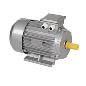DRV100-L4-004-0-1510 Электродвигатель трёхфазный